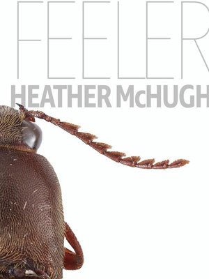 cover image of Feeler